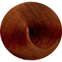 Fanola hajfesték 8.43 Világos-szőke réz-arany 100 ml