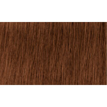 Indola Profession Caring Color Hajfesték - 6.48 Dark Blonde Copper Chocolate 60ml