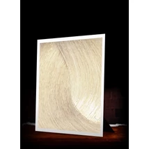 OSMOIKON - 12.0 - Natural Platinum Blonde - Természetes Platinaszőke 100 ml