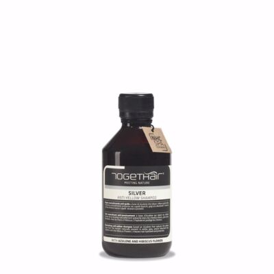 Togethair - Silver hamvasító sampon 250 ml